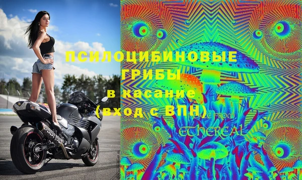 mdpv Коряжма