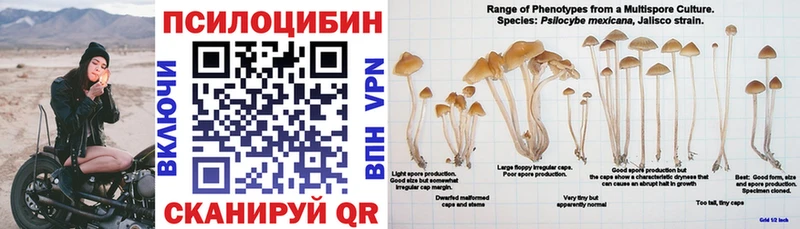 Купить где  Куртамыш  Галлюциногенные грибы MAGIC MUSHROOMS 